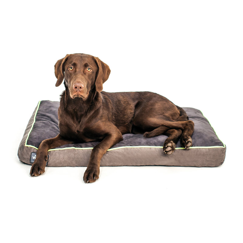 Better World Pets Orthopedic classic Reviews Wayfair